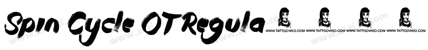 Spin Cycle OT Regula字体转换
